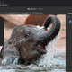 Image for article titled Photoshop’s AI Is Now So Fast That Hovering Over Objects Instantly Creates Perfect Masks